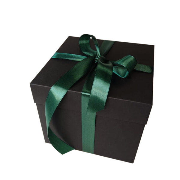 Melna kaste ar vāku 190x190x160 mm